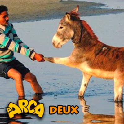 Episódio Deux - Projetos Burros N´Água.