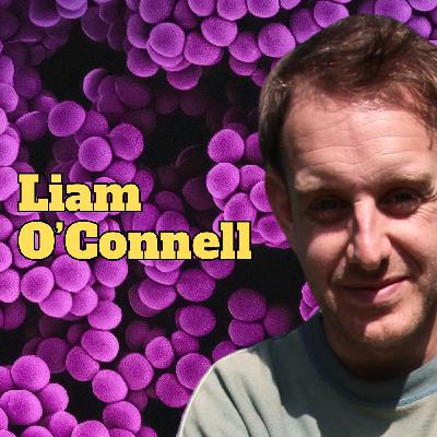 RS #184 - The Lion in the Wardrobe with Liam O'Connell | My Octopus Mind RS #184 - The Lion in the Wardrobe with Liam O'Connell | My Octopus Mind