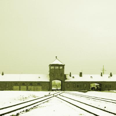 The Nazi Experiment, Vol. 11: Dictatorship by Reichstag Fire The Nazi Experiment, Vol. 11: Dictatorship by Reichstag Fire