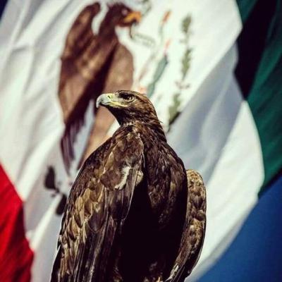 Problemáticas en México 🇲🇽