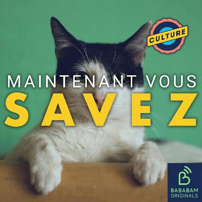 D’où vient l’expression “donner sa langue au chat ?”