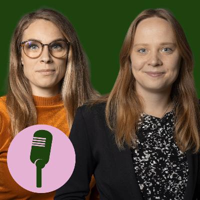 Det gränslösa arbetslivet