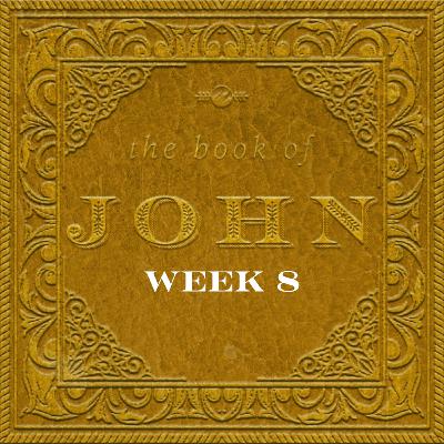 Hearing God in a Loud World | Book of John | Week8