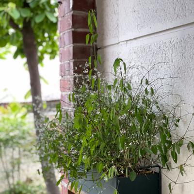 Дама с собачкой часть 4 Дама с собачкой часть 4