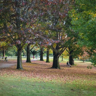 Martedì della XXXIII° Martedì della XXXIII°