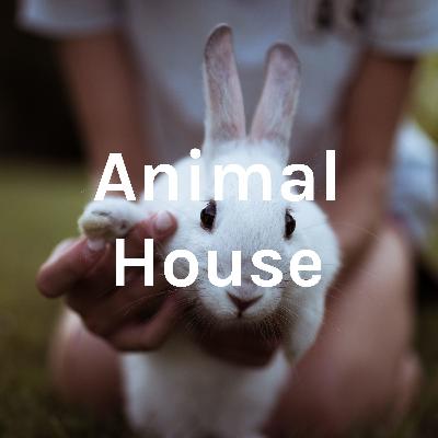 Animal House