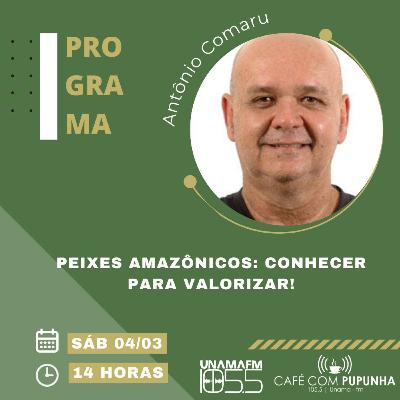 Ep. 104 - Peixes Amazônicos: Conhecer para valorizar | Antônio Comaru