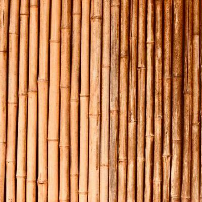 The Future of Bamboo Buildings