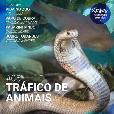 #05 Naja e o Tráfico de Animais