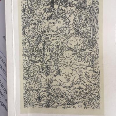 Eugenio Zaffaroni, comentario al libro La Pachamama y el humano, de 2015