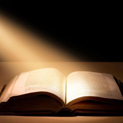 Reading Till Today (Betül)