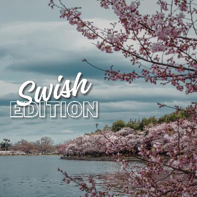 Petalpalooza…and Other Pink Things Petalpalooza…and Other Pink Things