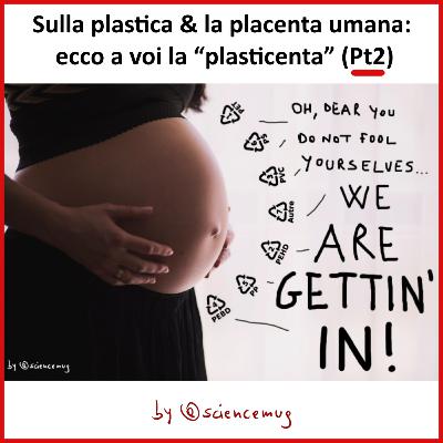 Sulla plastica & la placenta umana: ecco a voi la “plasticenta” (Pt2/4)