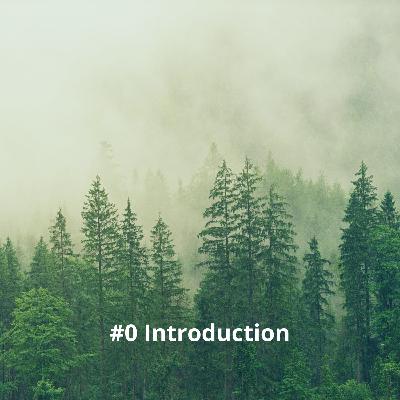 #0 Introduction