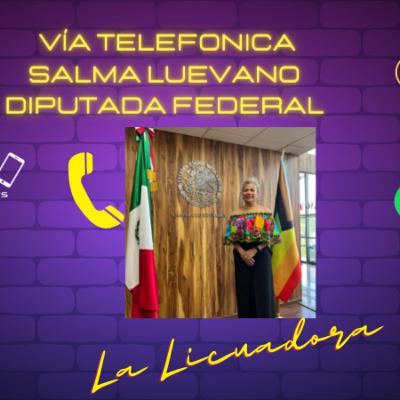 Salma Luevano Diputada Federal