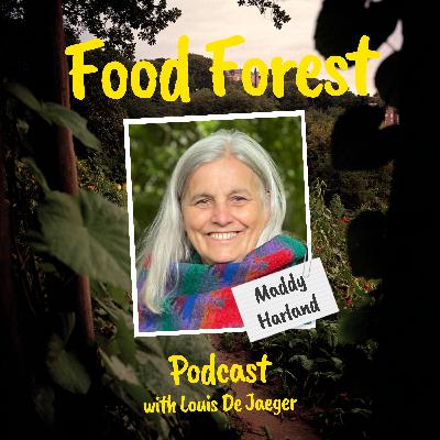 Food Forest Podcast: Maddy Harland β Lessons from 30 Years of Permaculture Magazine Food Forest Podcast: Maddy Harland β Lessons from 30 Years of Permaculture Magazine
