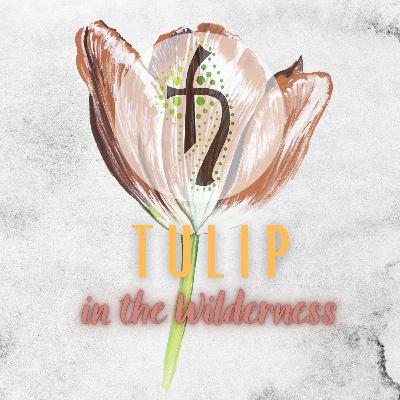 The Negativity We Can't Help, and the Positivity We Can't Fathom | TULIP in the Wilderness | Exodus 17:1-7 | Ps. Zuriel Bernardino