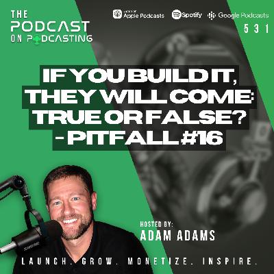 If You Build It, They Will Come: True or False? - Pitfall #16 [531]