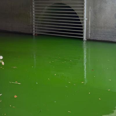 Why is the water green?