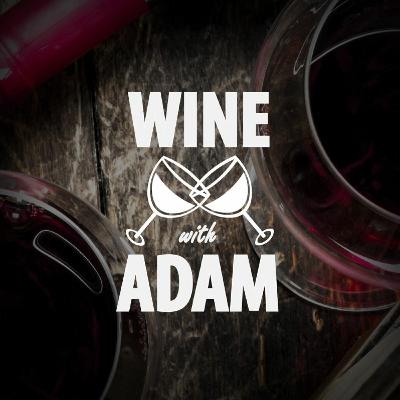 Wine with Adam - Natan Sharansky and Gil Troy Wine with Adam - Natan Sharansky and Gil Troy