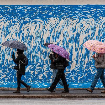 El Pàjaro Speed no puede obtener satisfacción Comentado. Rafael Chaparro Madiedo.