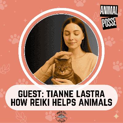 Reiki for Pets: Healing and Harmony for Your Animal Companions