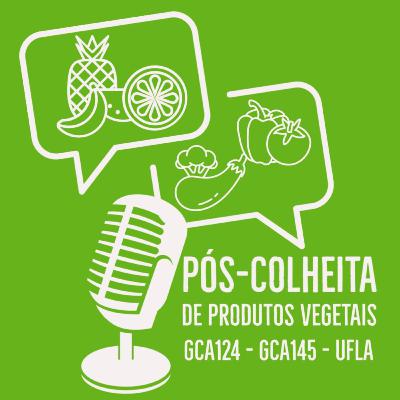 Armazenamento em atmosfera modificada