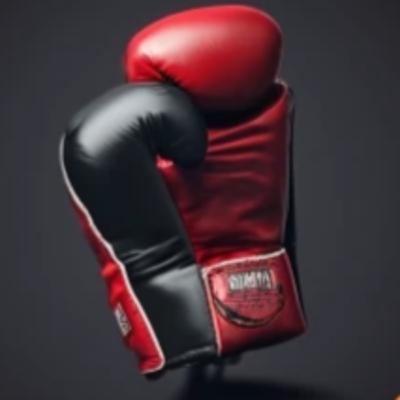 L'analyse de Cédric Doumbe [InspirAction]