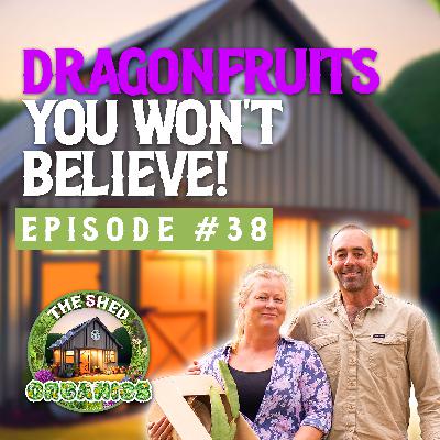#38 - Rare Dragonfruit & How To Grow Them | Yana [Rare Dragonfruit]