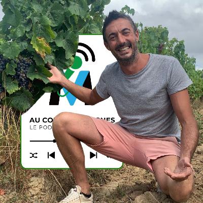 Côtes-de-Bourg I Château de Côts, Rémi Bergon, Malbec : le retour d'un enfant du pays ! (Extrait) Côtes-de-Bourg I Château de Côts, Rémi Bergon, Malbec : le retour d'un enfant du pays ! (Extrait)