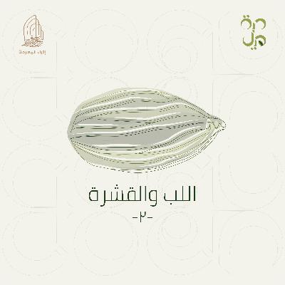 اللب والقشرة -٢