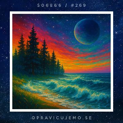 Gozd, ki se ne počuti kot gozd 🌳