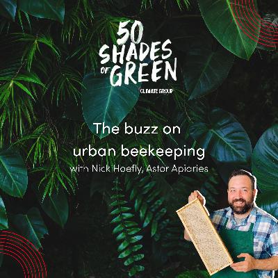 The buzz on urban beekeeping - Nick Hoefly, Astor Apiaries The buzz on urban beekeeping - Nick Hoefly, Astor Apiaries