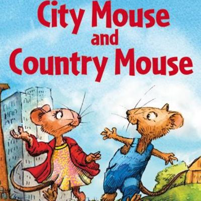 The town mouse and country mouse