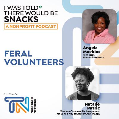 Feral Volunteers