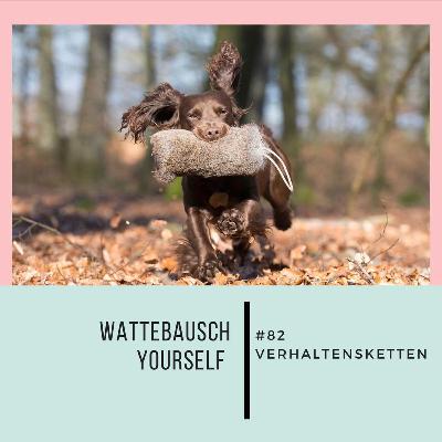#82 WBY: Verhaltensketten
