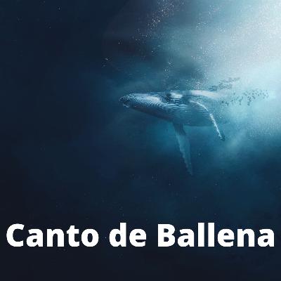 Canto de Ballena (8 horas) - Sonidos de la naturaleza para relajarse y dormir
