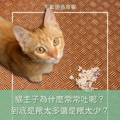 EP16 🎧貓主子為什麼常常吐呢？😭 到底是餵太多還是餵太少？🤯