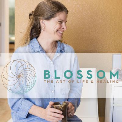 Episode 8: Polyvagal Mapping:  Building a Compassionate Relationship with the Inner World