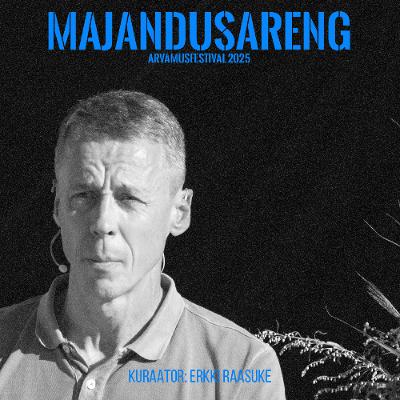 Miks me viime majandusarengut toetavaid tegevusi ellu aeglaselt ja osaliselt