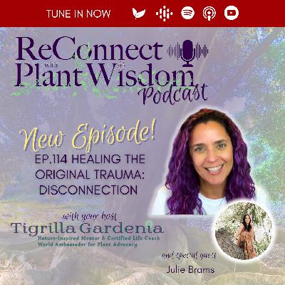 Ep.114 Healing the Original Trauma: Disconnection with Julie Brams Ep.114 Healing the Original Trauma: Disconnection with Julie Brams