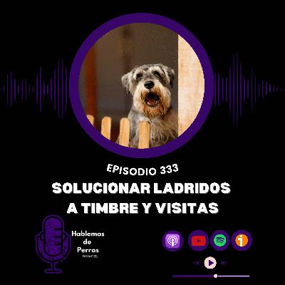 EP#333: Solucionar ladridos a timbre y visitas