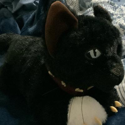 Scourge and Ravenpaw’s Path Scourge and Ravenpaw’s Path