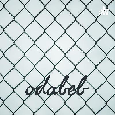 Trabalho de português, Rubem Braga