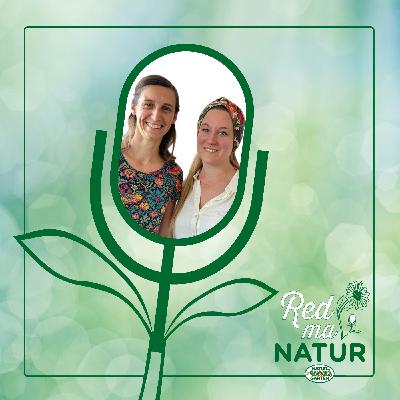 Pflanzenschutz – neue Schädlinge & neue Nützlinge