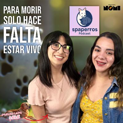 Duelo por un compañero animal ft Fundación Lele