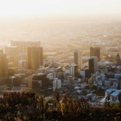 Wildlife and Wine: A Mother City Tour Awaits