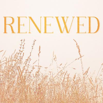 Renewed Navigation