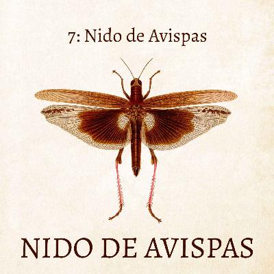 Nido de Avispas