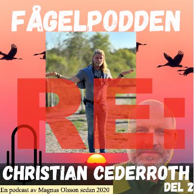 Christian Cederroth Del 2